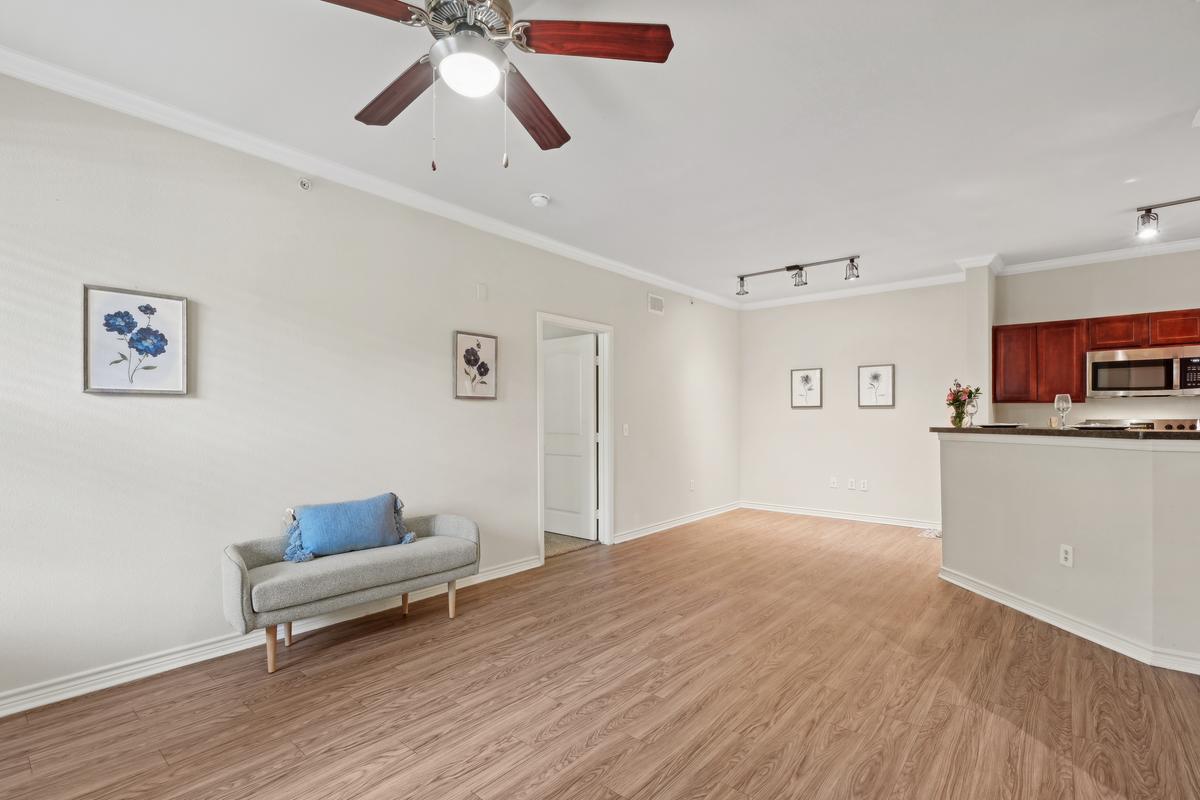 Interior Living Room